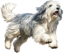 10 x 18 x 18 cm Bobtail