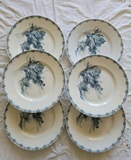 6 Anciennes Assiettes plates