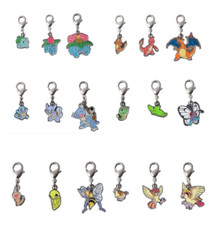 Charm Pokemon Métal "région