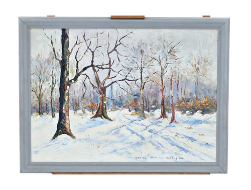 Paysage hiver avec chemin - paysage,
