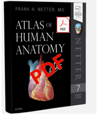NETTER Atlas of Human Anatomy 7th edition (dematerialized, in english)