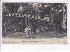 LANDAIS: chasseurs de