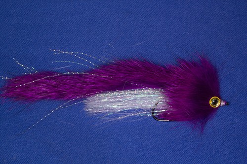 Mouche streamer pourpre - mouche, /