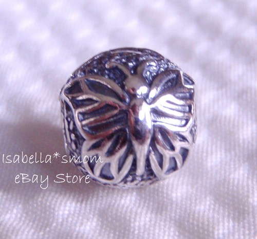 Lacewing butterfly authentic - lacewing,