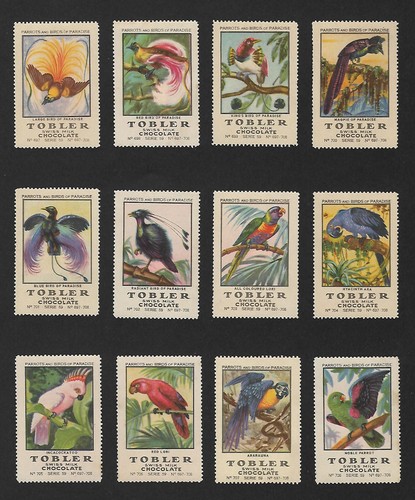 Poster stamps parrots birds - stamps, of