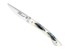 8913PG - COUTEAU LE THIERS