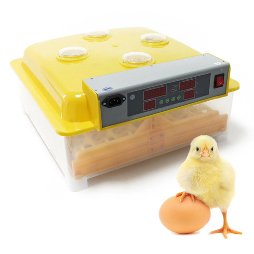 Couveuse automatique oeufs - automatique, 48