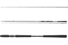 DAIWA Dw Pro Staff 3,20m