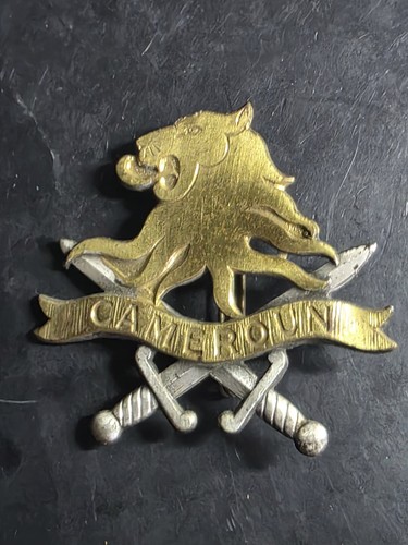 Coiffure insigne béret - insigne,
