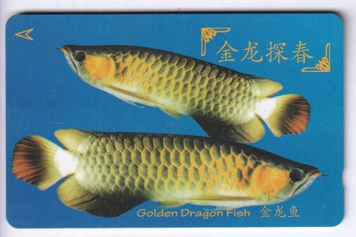 Asie telecarte phonecard - /,
