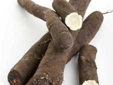 35 Graines de Salsifis Énorme - légumes ancien potager - semences paysannes