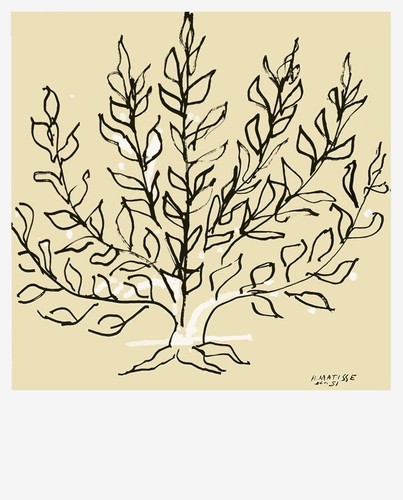Henri matisse lithographie - henri,