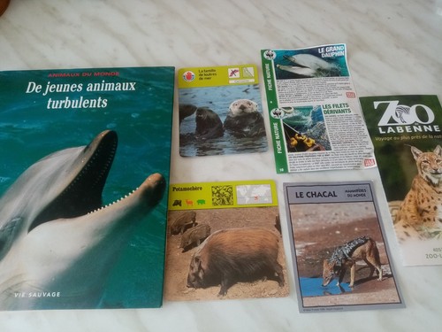 Jeunes animaux turbulents - de,