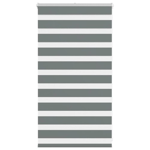 Store zèbre gris clair