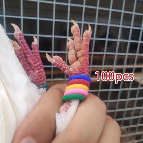 Lot 100 bagues - de,