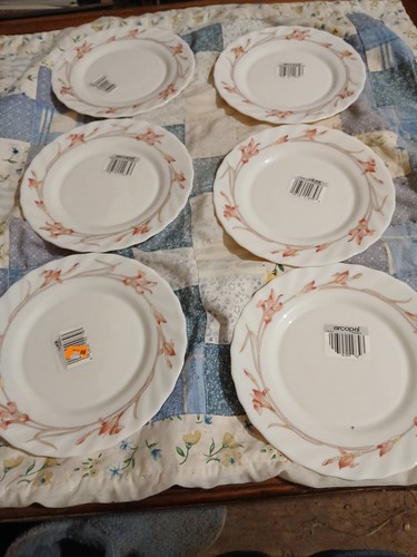Assiettes dessert arcopal - 6,