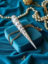 Petit coquillage ancien