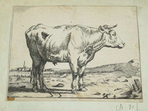 Paulus potter - potter, (1625-1654)
