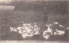 CP AU PAYS LANDAIS GARDEUSE D'OIES - 28838