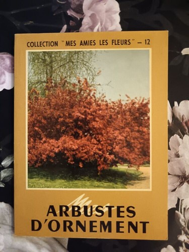 Arbustes ornement bon - arbustes, d'ornement