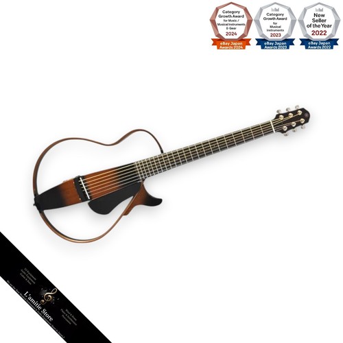Guitare électrique acoustique