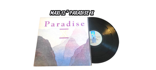 Disque maxi tours vinyle - disque,