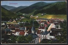 CPA Schirmeck, Vue sur le village entouré de montagnes verdoyantes 1915 