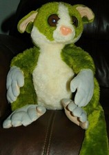 Green and White Sugar Glider