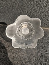 Fleur Anémone en cristal signé Lalique