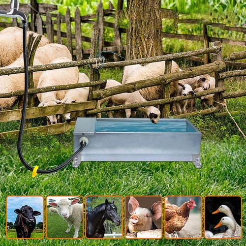 Abreuvoir automatique pour - abreuvoir,
