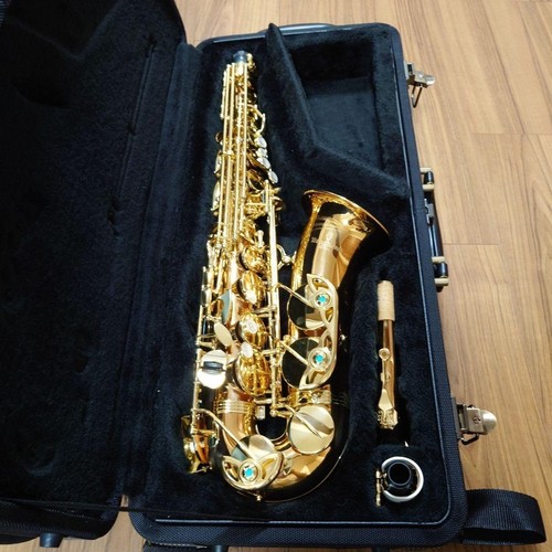 étui rigide pour saxophone - Étui,