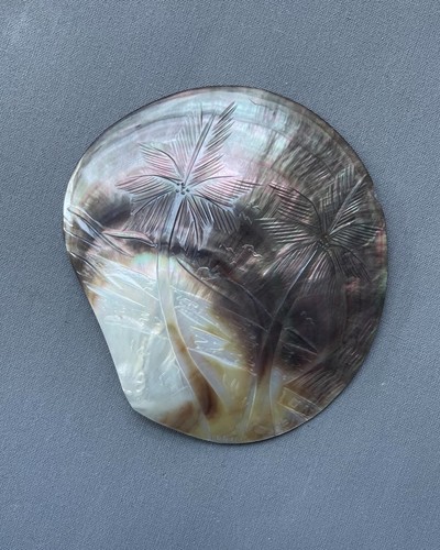 Nacre coquillage gravé - nacre,,