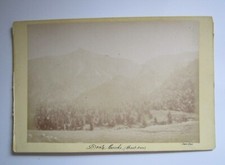 CARTE PHOTO CARTONNÉE - DENTS