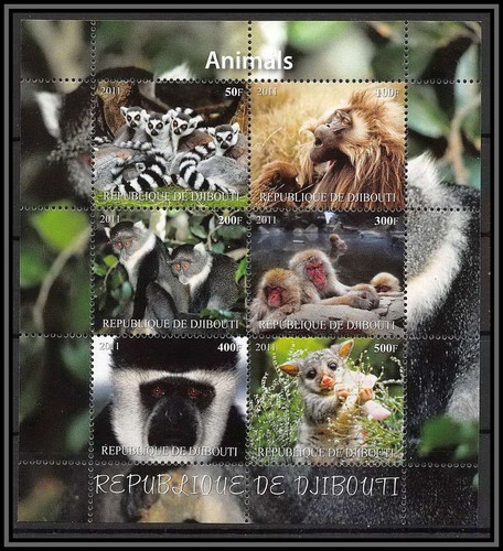 2089 djibouti singes - 2089/,