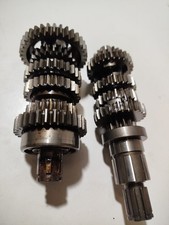 Arbre Primaire Et Secondaire