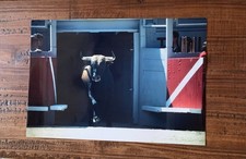 photo-photographie corrida - toro - toril - taureau - arènes d'Arles - 20 x 30