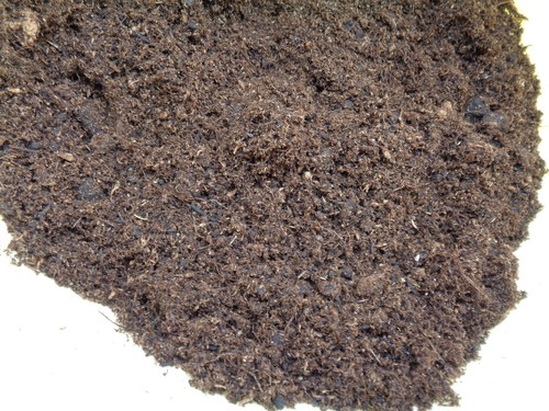 Substrat plante carnivore