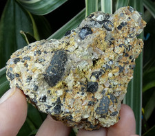 Augite sur matrice volcanique