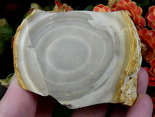 Silex œil / rubané 6.5x5cm