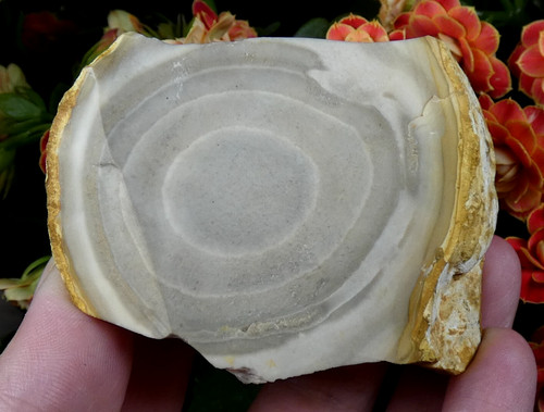 Silex œil rubané 6 5x5cm - œil, 6.5x5cm