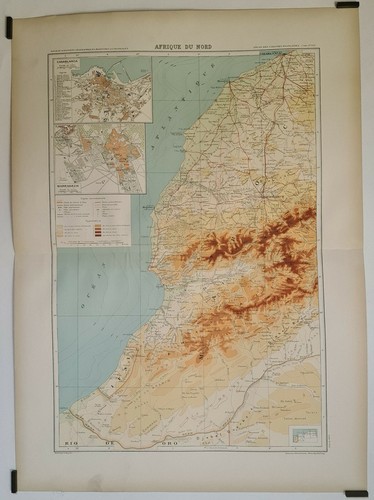 Bergelin afrique du nord - du,