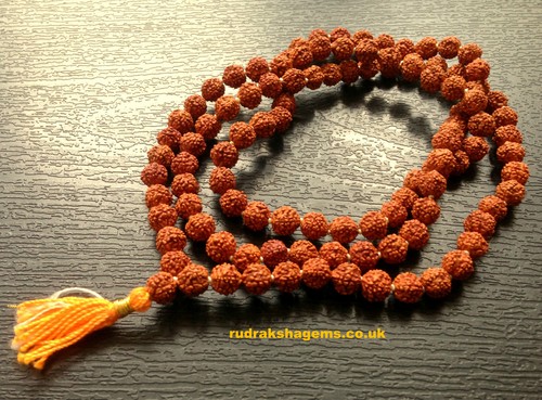 11mm rudraksha japa - 11,