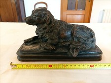 Chien terre neuve couché - chien, terre-neuve
