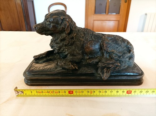 Chien terre neuve couché - chien,