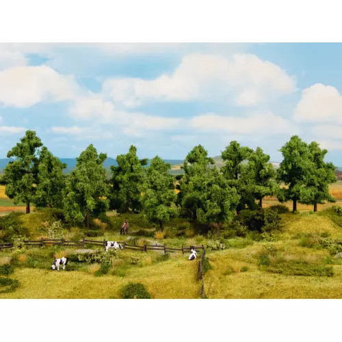 Noch 24603 deciduous trees - 24603,
