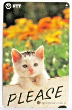 13 - CARTE TELEPHONIQUE NTT JAPONAISE SERIE CHAT - Chaton sur pancarte please