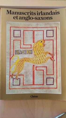 Manuscrits irlandais - irlandais, et