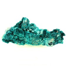 Minéraux et pierres précieuses. Dioptase + Shattuckite. 454.0 ct. Milpillas Min