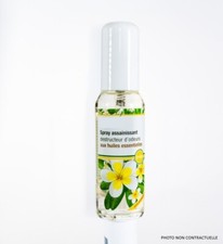 SPRAY D’AMBIANCE ASSAINISSANT – FORMAT 33 ML