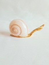 Objet Escargot Coquillage